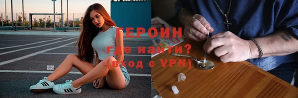 сатива Новозыбков