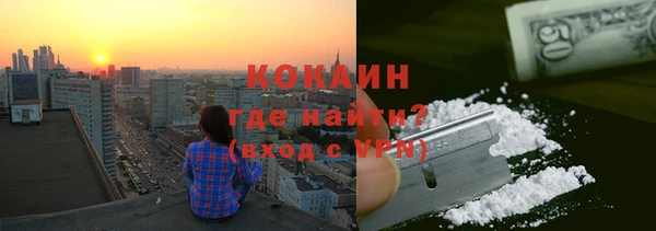 сатива Новозыбков