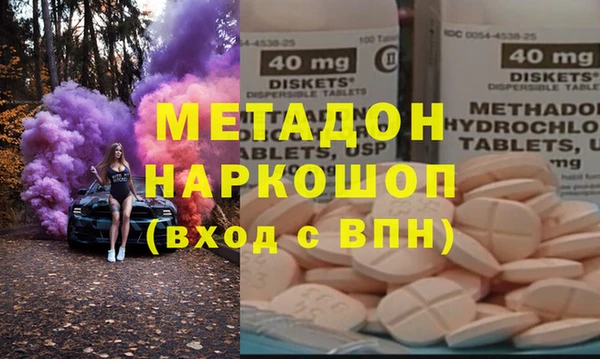 сатива Новозыбков