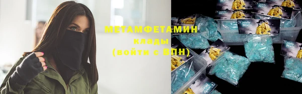 сатива Новозыбков