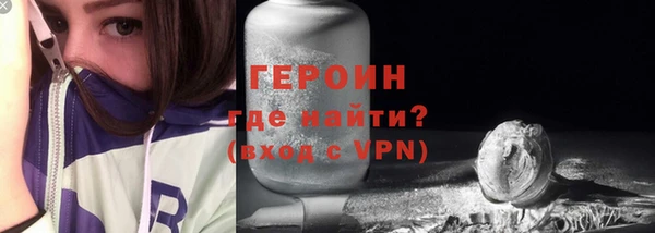 сатива Новозыбков