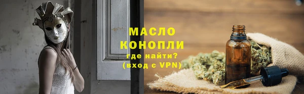 молекула духа Новодвинск