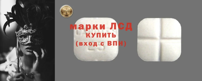 сатива Новозыбков