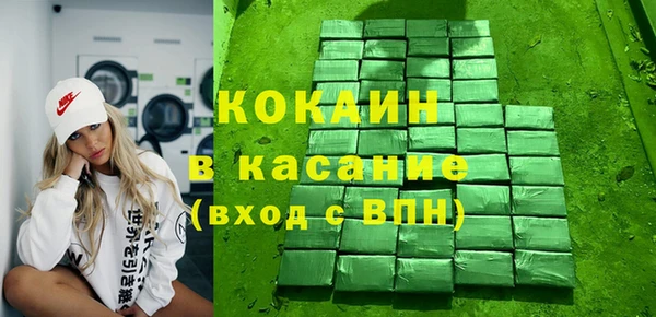сатива Новозыбков