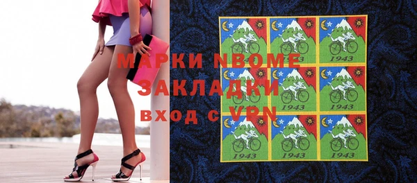сатива Новозыбков