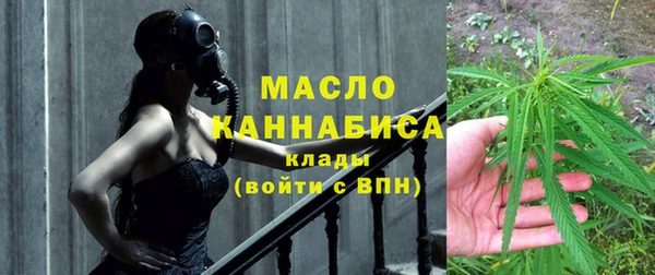 сатива Новозыбков