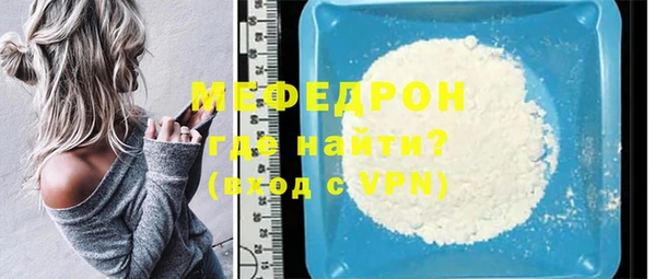 сатива Новозыбков