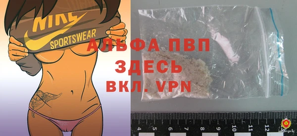 сатива Новозыбков