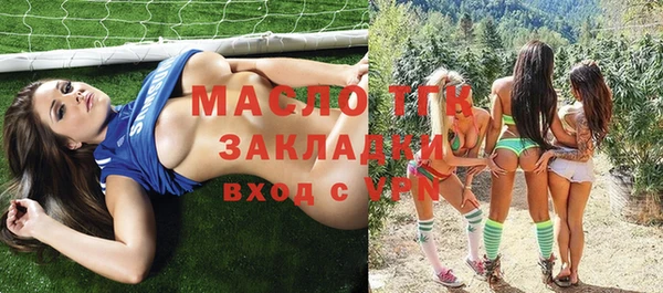 сатива Новозыбков