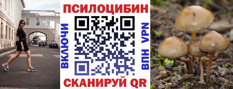 Купить где  Реутов  Псилоцибиновые грибы мухоморы